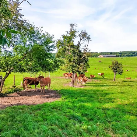 2 Bedroom Awesome In *