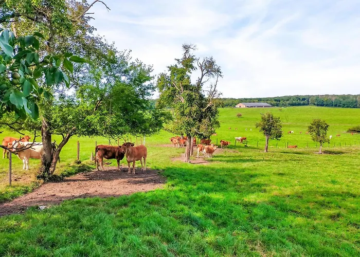 2 Bedroom Awesome In *