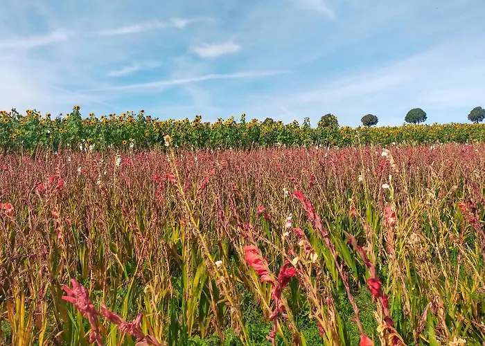 Appartamento 2 Bedroom Awesome In